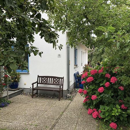 Ferienwohnung Mit Garten Wieck Eksteriør billede